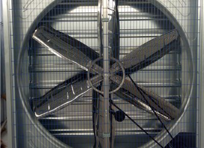 點擊查看詳細信息<br>標題：Heavy Hammer Type Animal Husbandry Fan 閱讀次數(shù)：1505